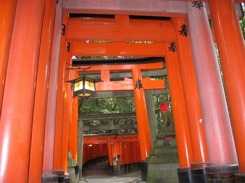 ごみ看板の写真