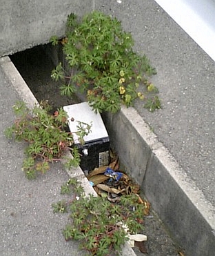 ごみ箱写真