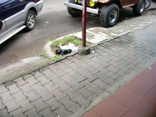 ごみ箱写真